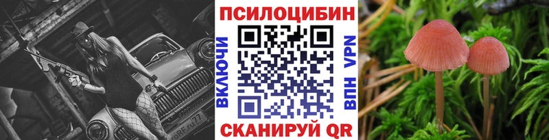 Галлюциногенные грибы Psilocybe  Купить где  Билибино 